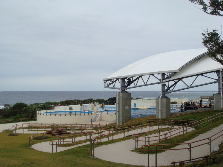 a0046339_2211953.jpg