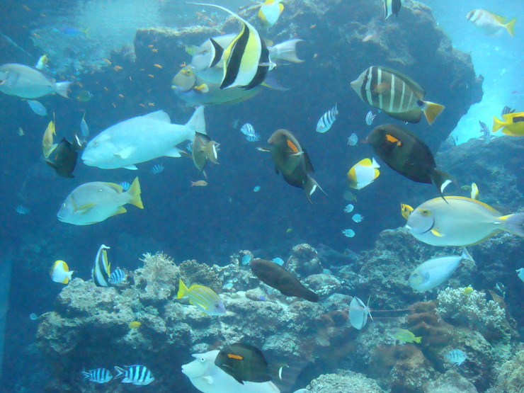 a0046339_221345.jpg