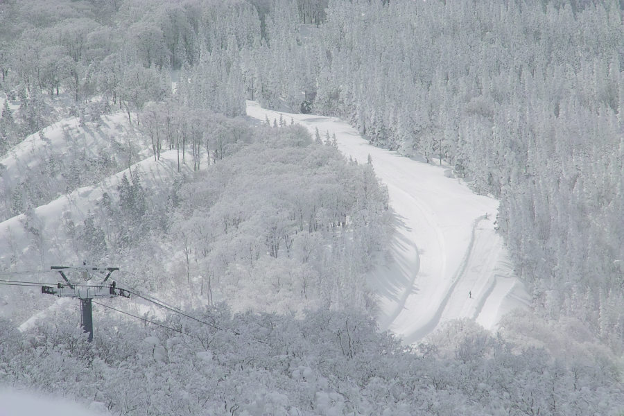 c0211639_9394794.jpg