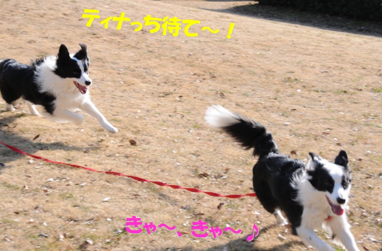 c0147241_9103215.jpg