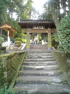 b0032346_1231204.jpg