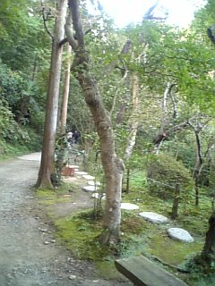 b0032346_12584624.jpg