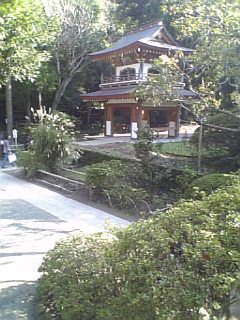 b0032346_12592715.jpg