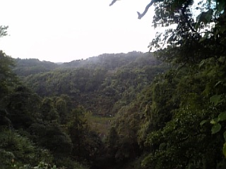 b0032346_1312887.jpg