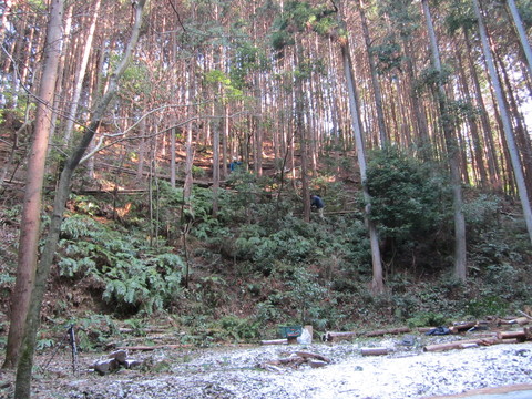 b0132746_1142064.jpg