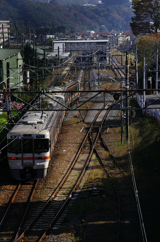 d0159548_2335326.jpg