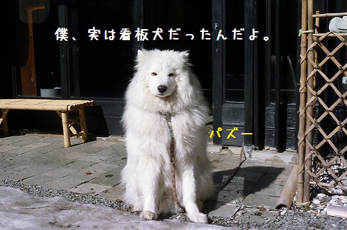 a0166954_1765176.jpg