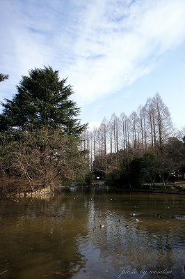 b0102560_10195695.jpg