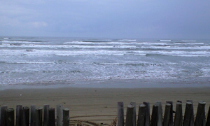 f0027762_2223741.jpg