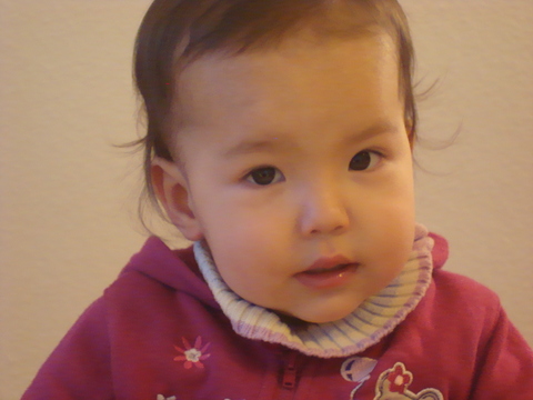 c0059063_623771.jpg