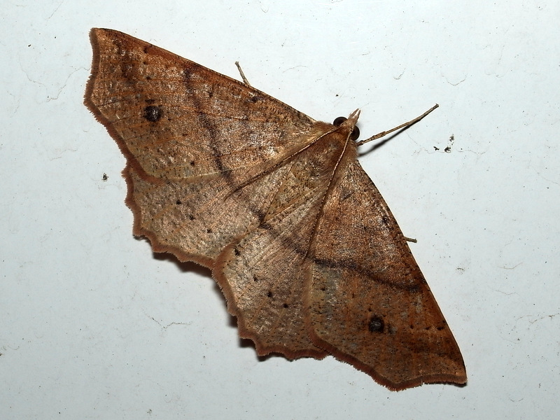 b0130166_20164094.jpg