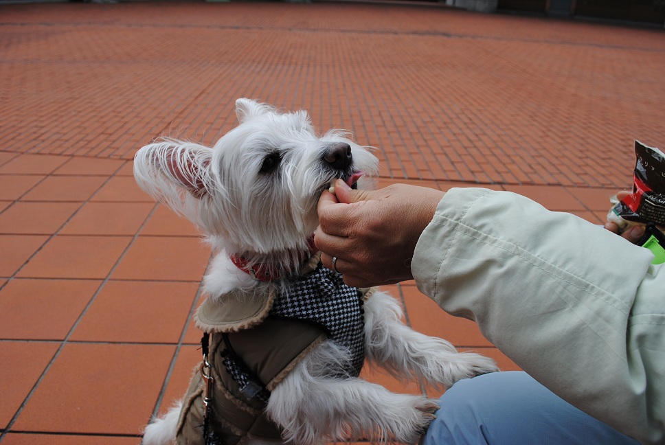 b0242873_011759.jpg