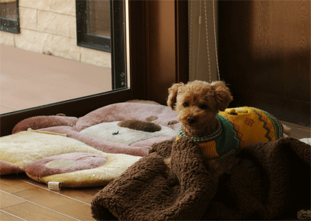 c0196673_1939316.gif