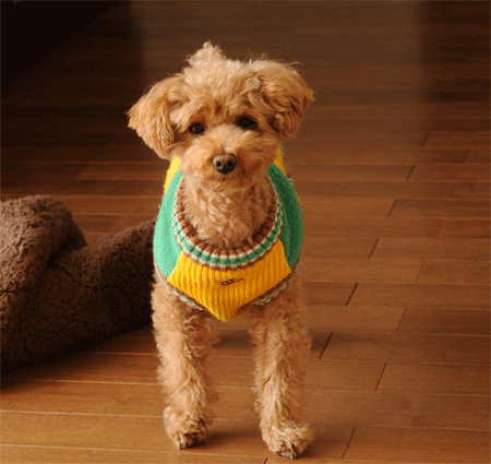 c0196673_19393758.gif