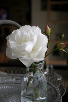 d0000274_12245847.jpg