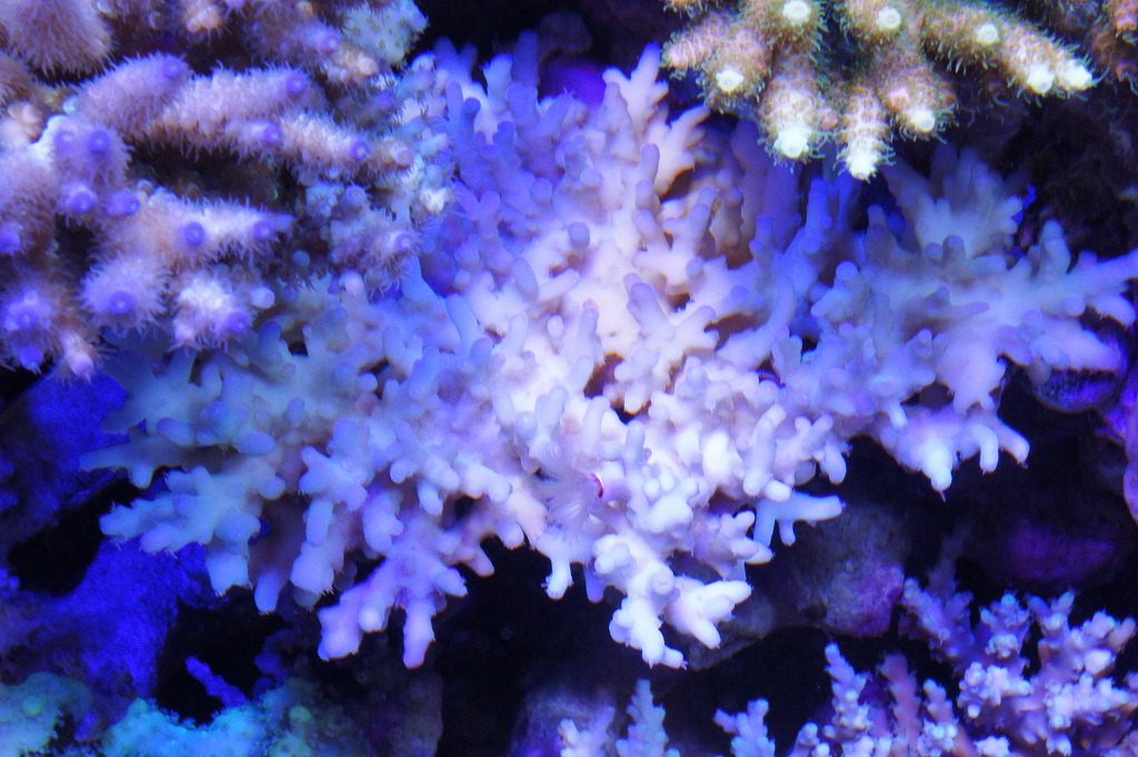 a0161975_21354635.jpg