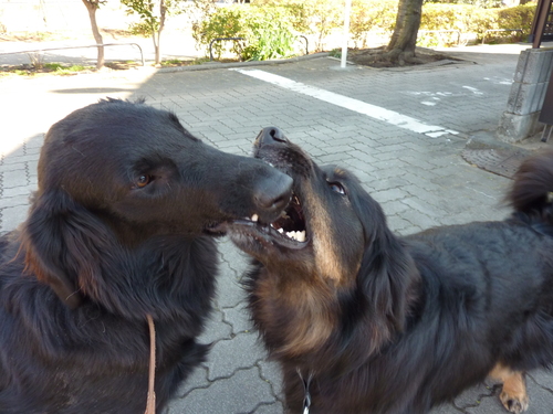 e0207477_0152010.jpg