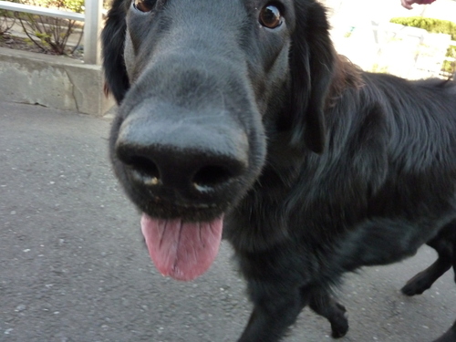 e0207477_0304249.jpg