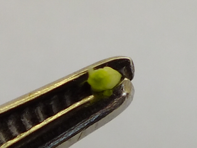 e0145782_1646231.jpg