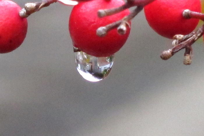 b0171185_20265332.jpg
