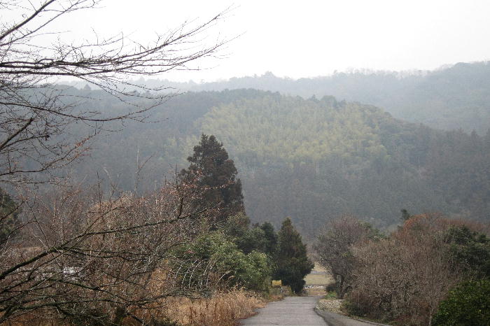 b0171185_2073328.jpg