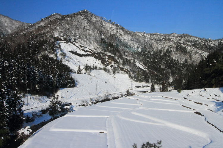 e0051888_21343354.jpg