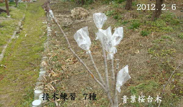 d0122497_14195538.jpg