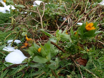 b0110999_16114744.jpg