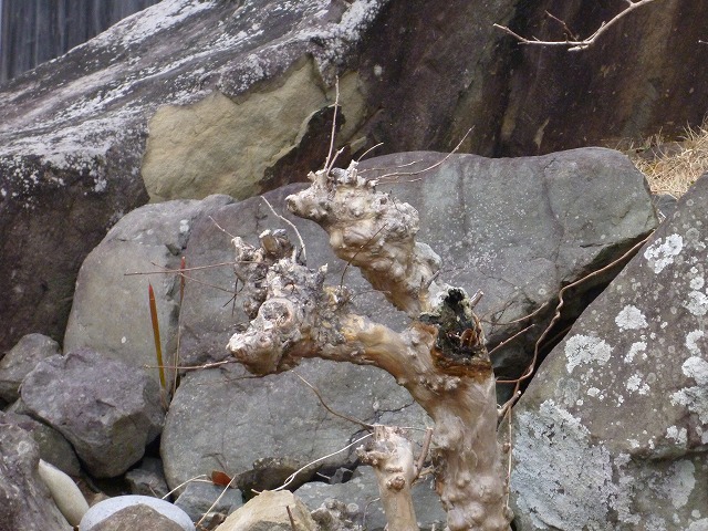 d0037110_21195486.jpg
