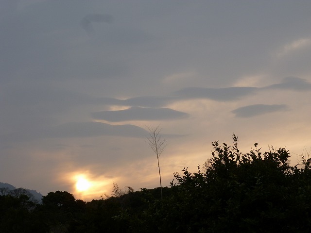 d0037110_2120573.jpg