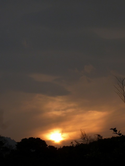 d0037110_21223371.jpg