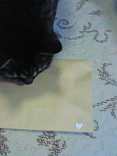 c0145016_0255215.jpg