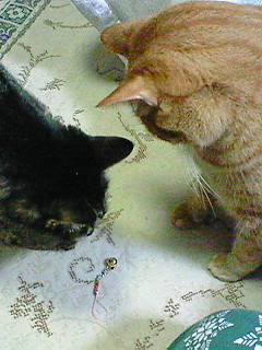 c0145016_0255232.jpg