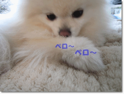 b0167519_9193732.gif