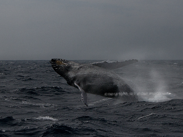 c0174019_1155283.jpg