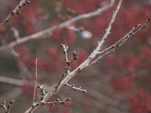 b0187620_2231584.jpg