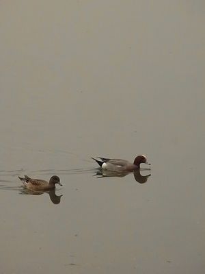 f0214121_23111085.jpg