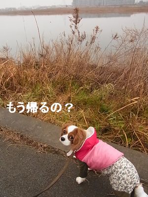 f0214121_23135984.jpg