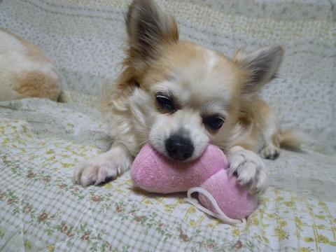 b0138430_2011840.jpg
