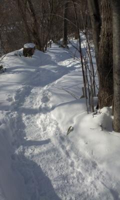 e0105130_2117386.jpg