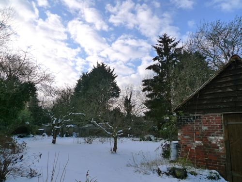 f0165831_0204484.jpg