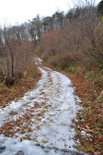 e0228938_16254241.jpg