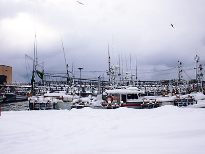 e0022839_213605.jpg