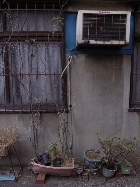 a0087341_22504066.jpg