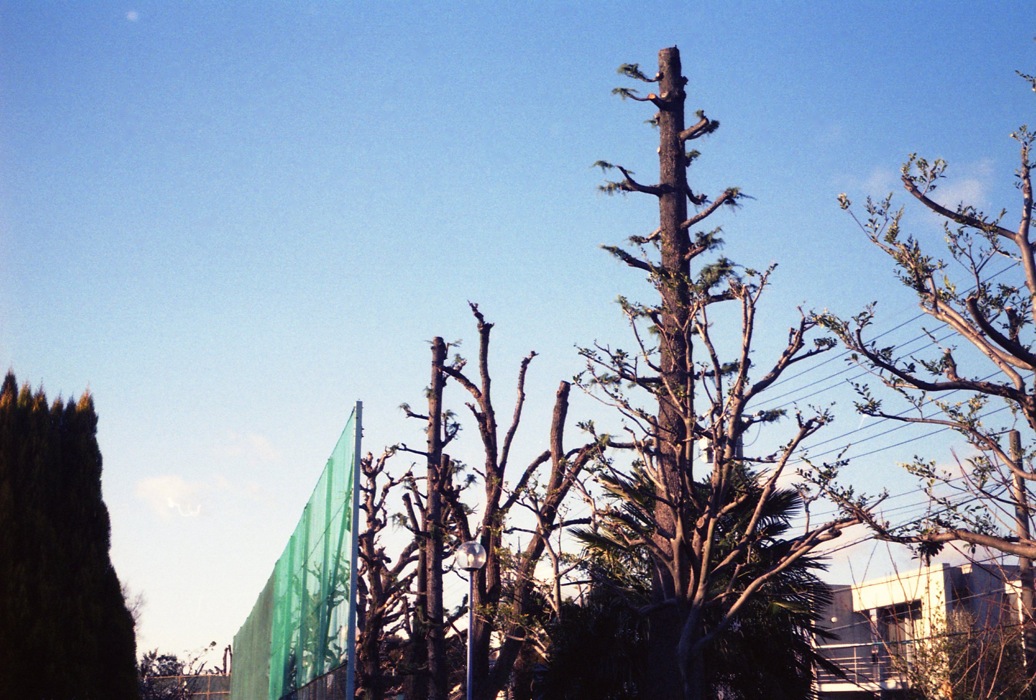 d0089742_2215784.jpg