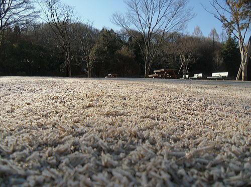 f0094843_12382930.jpg