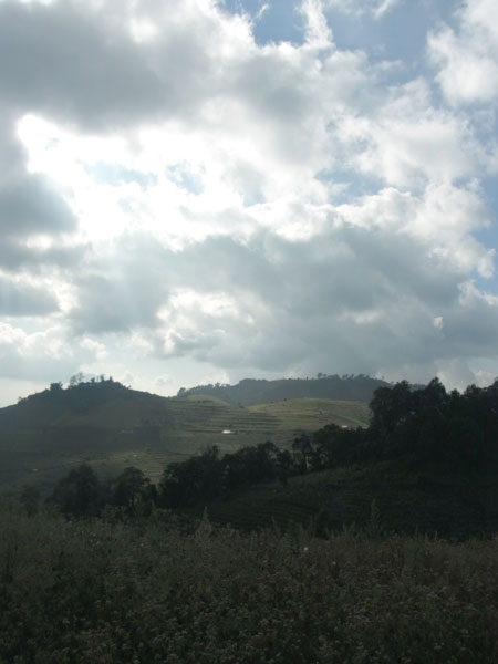 a0241644_23504250.jpg