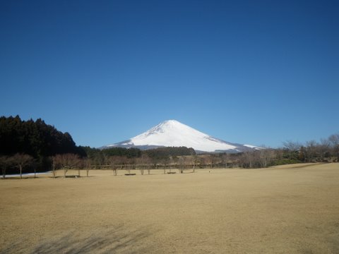 f0046250_0115572.jpg
