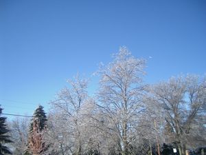 e0217871_18454610.jpg