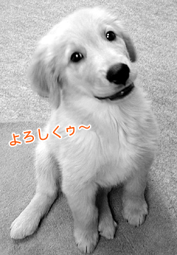 c0235678_20315271.jpg